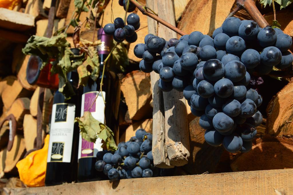 Agriturismo Il Nido Di Bacco Villa Saluzzo Eksteriør bilde